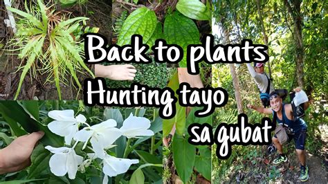 kinantot sa kagubatan|MAG LAKAD LAKAD TAYO SA KAGUBATAN .